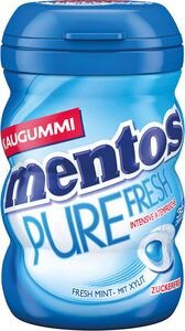 mentos Gum DS Pure Fresh 70g Mint