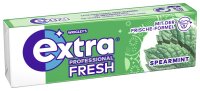 Wr Extra Prof. Single 10er-Pg.Fresh Spearmint