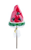 Felko Mini-Lollipops Watermelon 17g