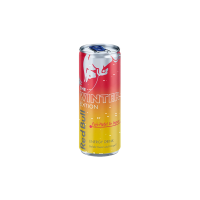 Red Bull Winter Edition 2025 250 ml